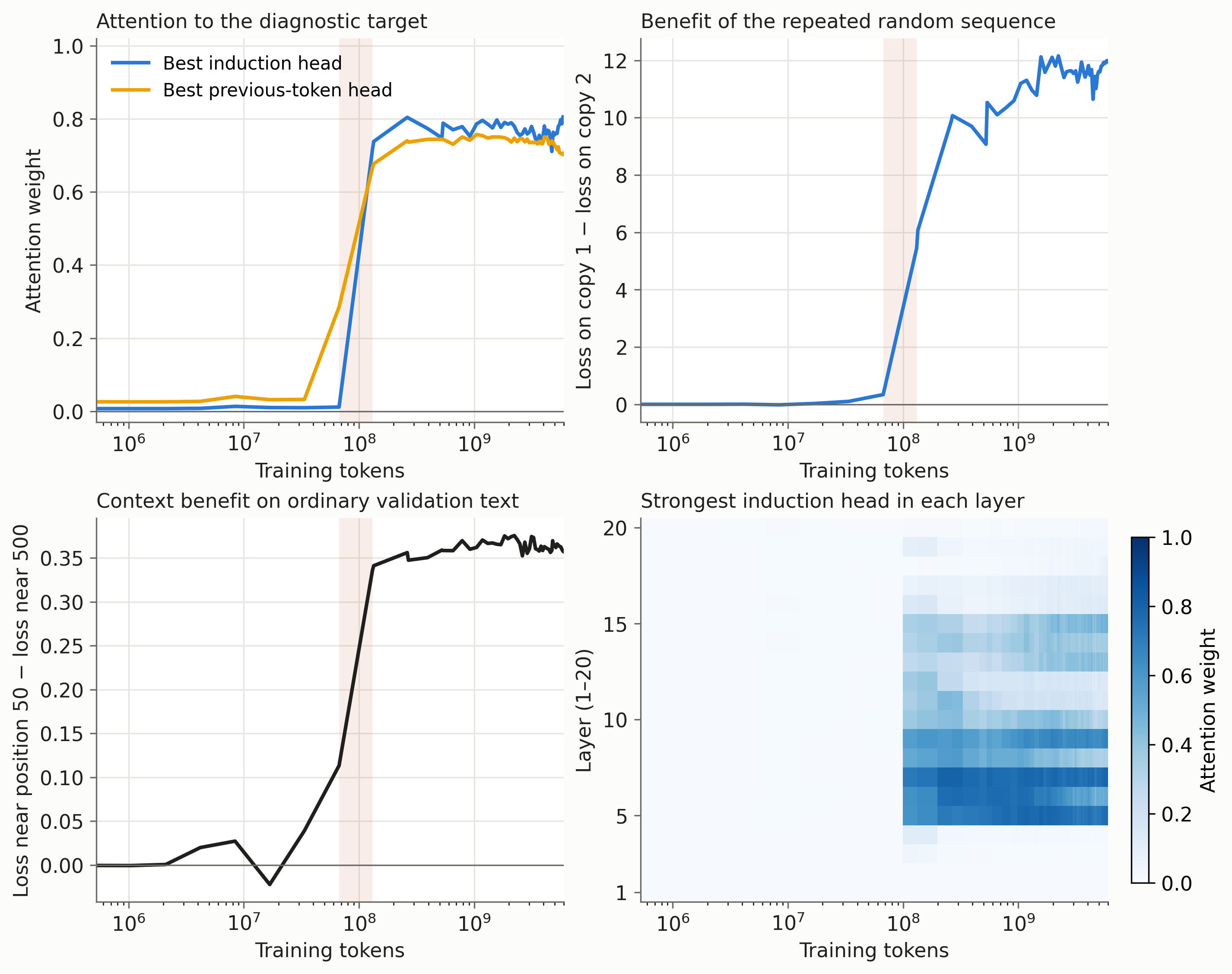 Previous-token attention strengthens before induction attention, whose rise coincides with increased contextual prediction benefit.